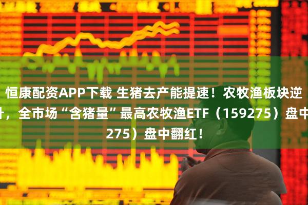 恒康配资APP下载 生猪去产能提速！农牧渔板块逆市拉升，全市场“含猪量”最高农牧渔ETF（159275）盘中翻红！