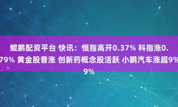 鲲鹏配资平台 快讯：恒指高开0.37% 科指涨0.79% 黄金股普涨 创新药概念股活跃 小鹏汽车涨超9%